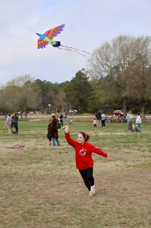 Elise Burgan from New Jersey races around to get her bird in the air at the 58th Great Delaware Kite Festival, held April 3 at Cape Henlopen State Park.
